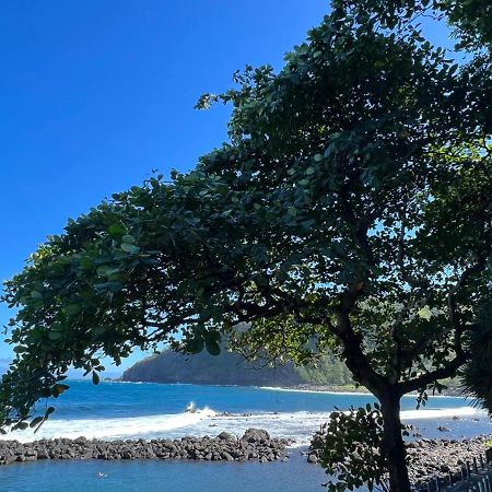 Le Liseron Creole - Entre Terre, Mer Et Riviere - Proche Toutes Commodites Сен-Жозеф Екстер'єр фото