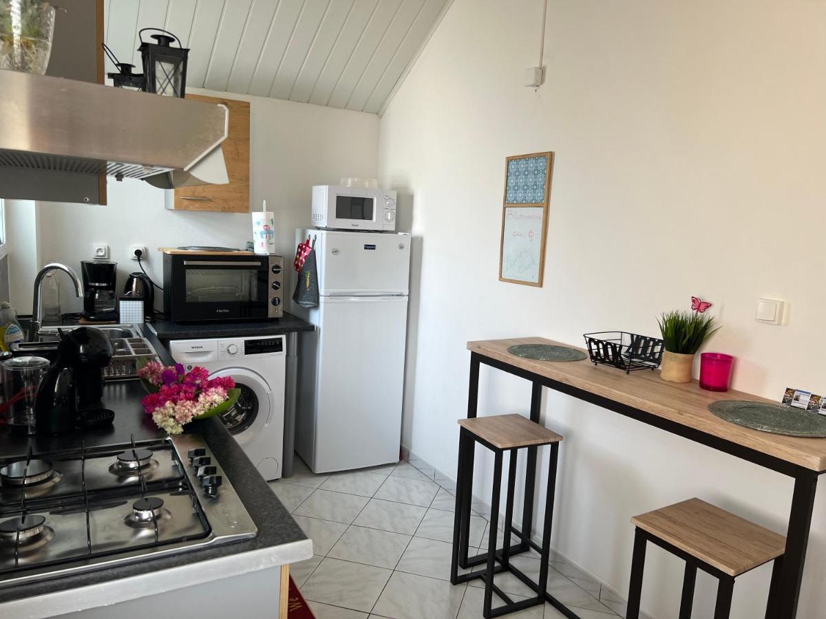 Le Liseron Creole - Entre Terre, Mer Et Riviere - Proche Toutes Commodites Сен-Жозеф Екстер'єр фото